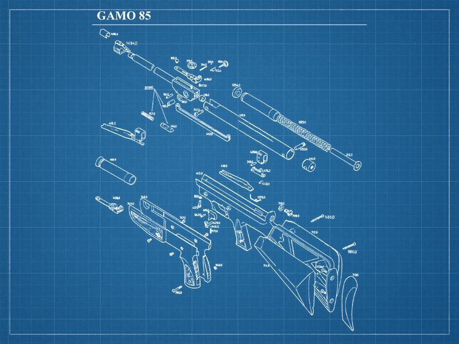 bp_gamo_carabine_85.jpg