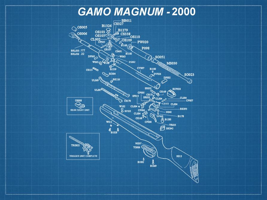 bp_gamo_carabine_2000_magnum.jpg