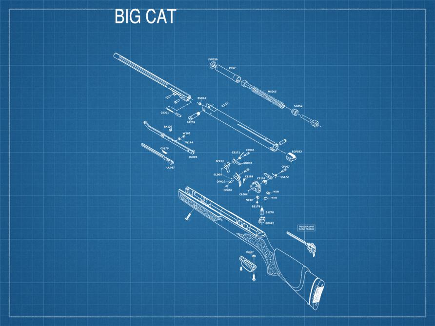 bp_gamo_carabine_big_cat.jpg