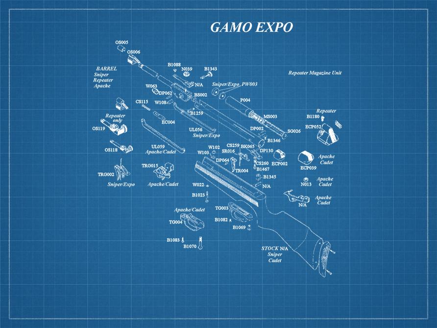 bp_gamo_carabine_expo.jpg