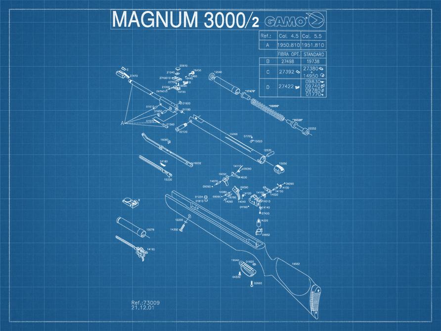 bp_gamo_carabine_magnum_3000_2.jpg