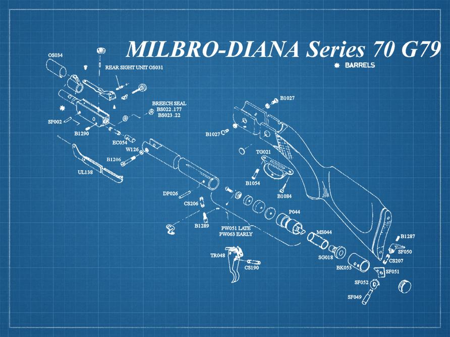 bp_milbro_carabine_diana_serie70_g79.jpg