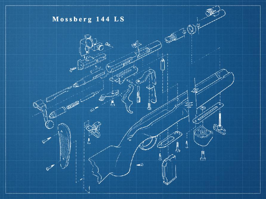 bp_Mossberg-144-LS.jpg