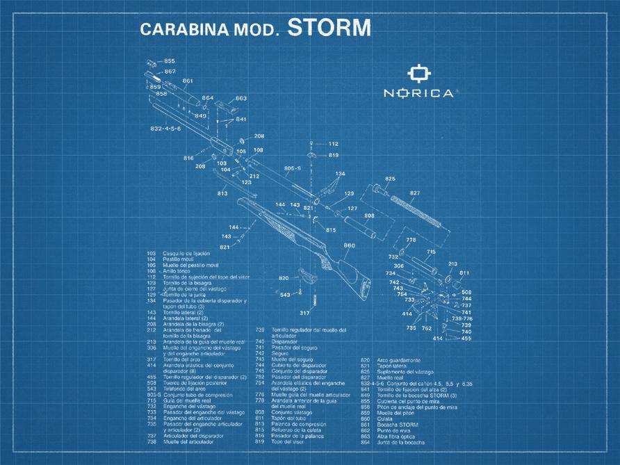 bp_norica_carabine_storm.jpg