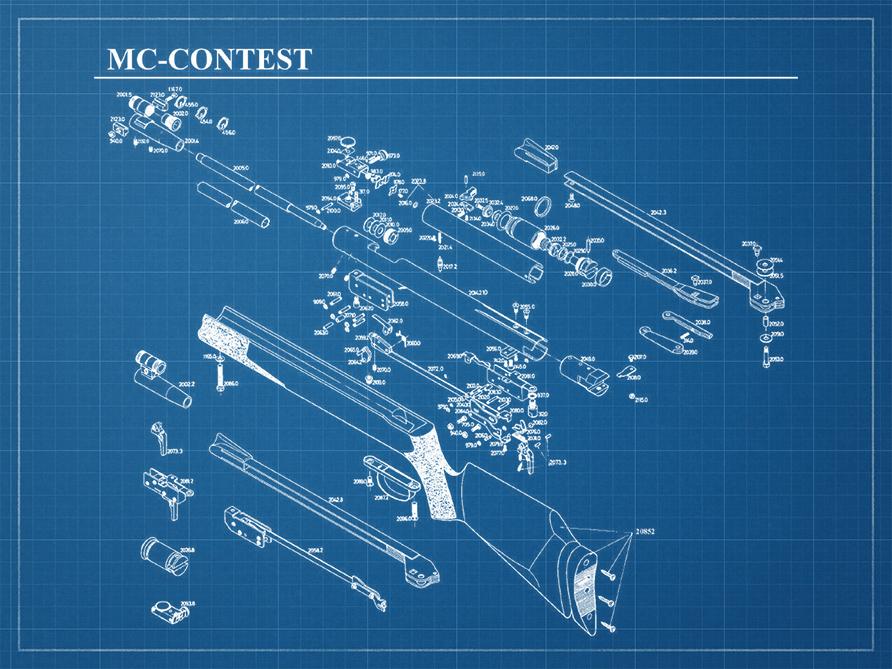 bp_carabine_gamo_mc_contest.jpg