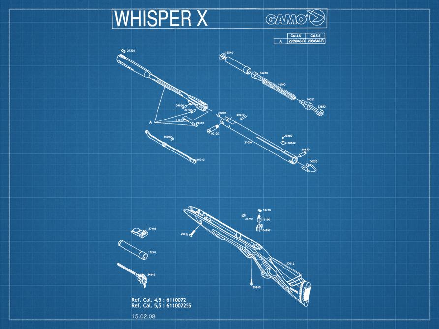 bp_carabine_gamo_whisper_x_2008.jpg